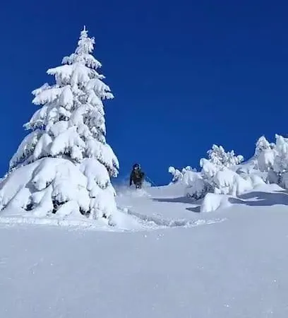 Bergdoktor Holiday home