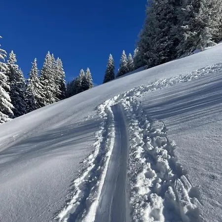Bergdoktor
