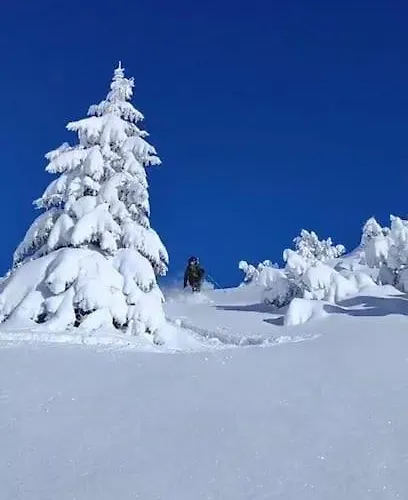 Bergdoktor Hébergement de vacances