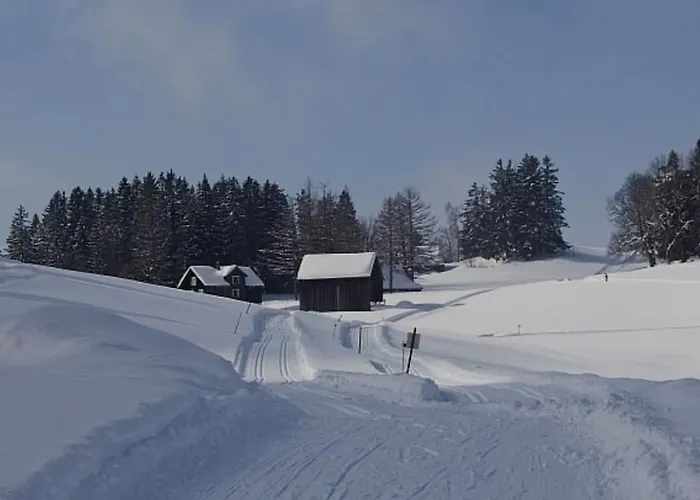 Bergdoktor * امدن