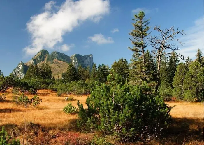 Bergdoktor Hébergement de vacances *