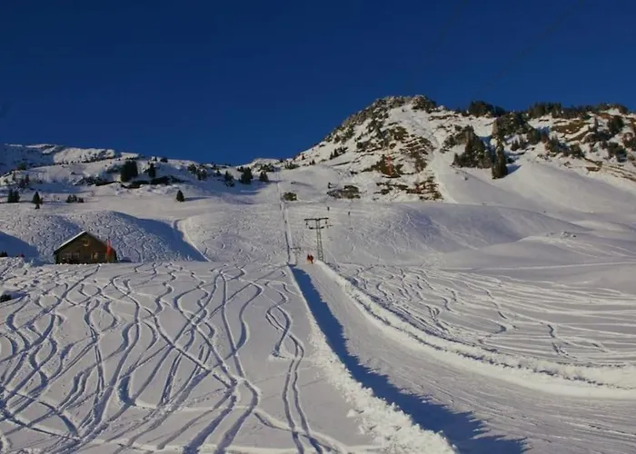 Bergdoktor * امدن